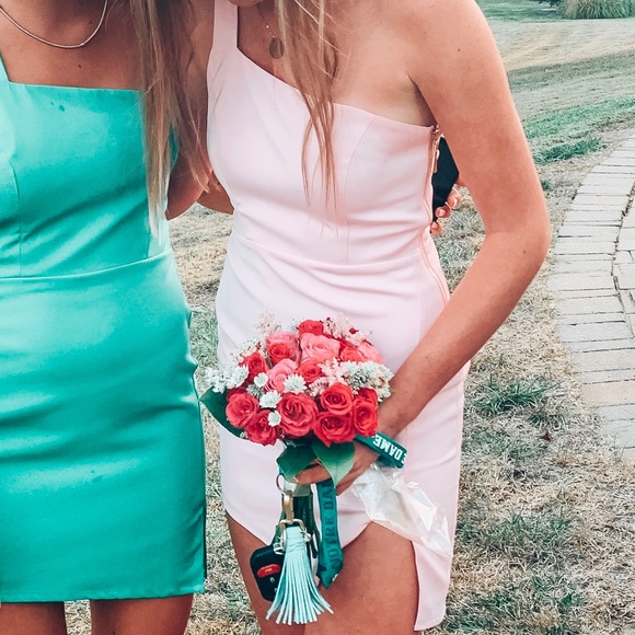 Revolve Pink Dress - Picture 2 of 5